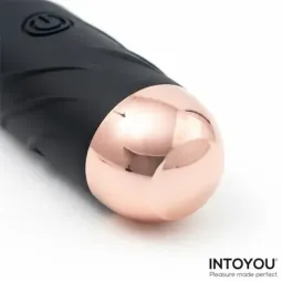 INTOYOU Balmy vibreeriv wand-massaažipulk