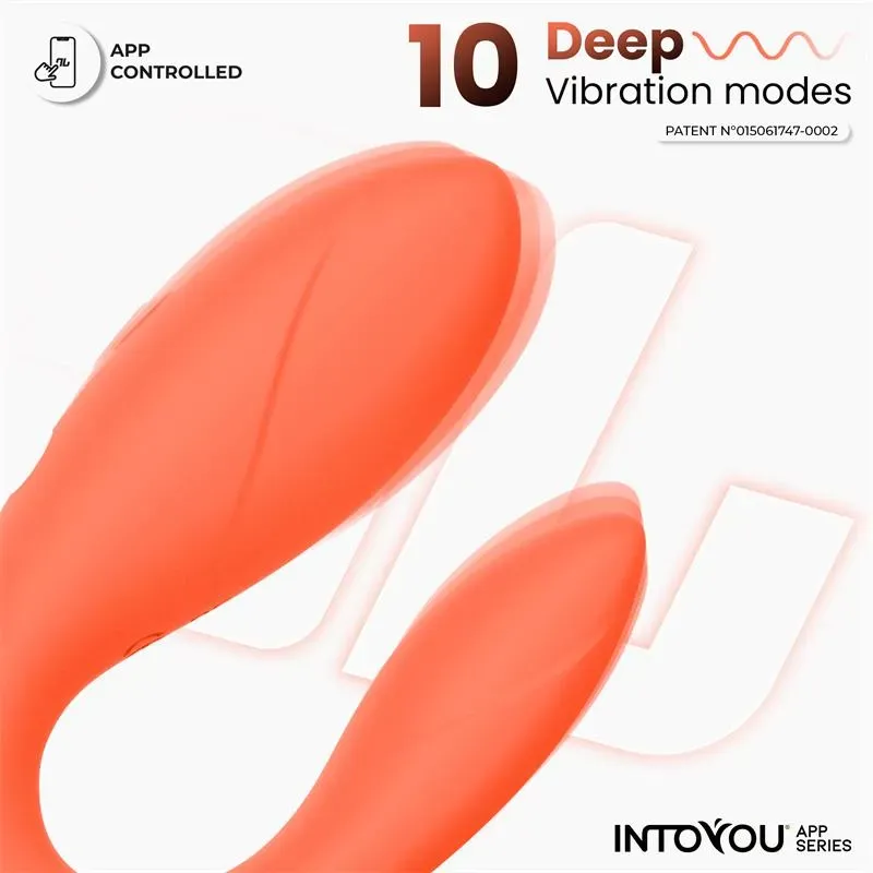INTOYOU APP SERIES paarivibraator äpiga