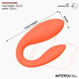 INTOYOU APP SERIES paarivibraator äpiga