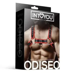 INTOYOU Odiseo мужская нагрудная упряжь BDSM