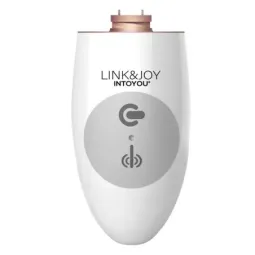 LINK&JOY Controller USB блок управления вибратора