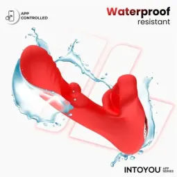 INTOYOU Franky вибратор с приложением ActiveJoy