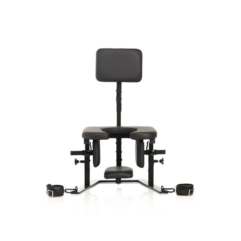 MASTER SERIES Pleasure Throne стул для орала