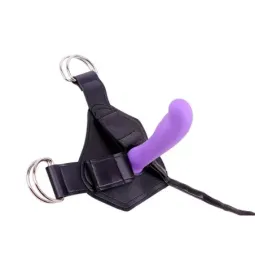 CHISA Harness and Dildo Amor rihmadildo