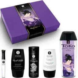 SHUNGA Naughtier Kit — набор для пар