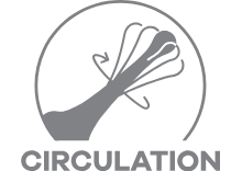 Main-Feature-Icons_Gray_Circulation
